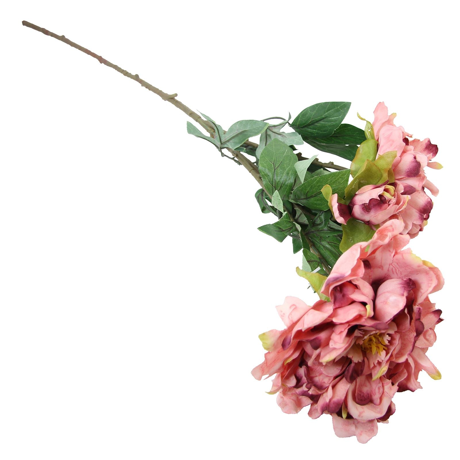 Large Open Peony Spray