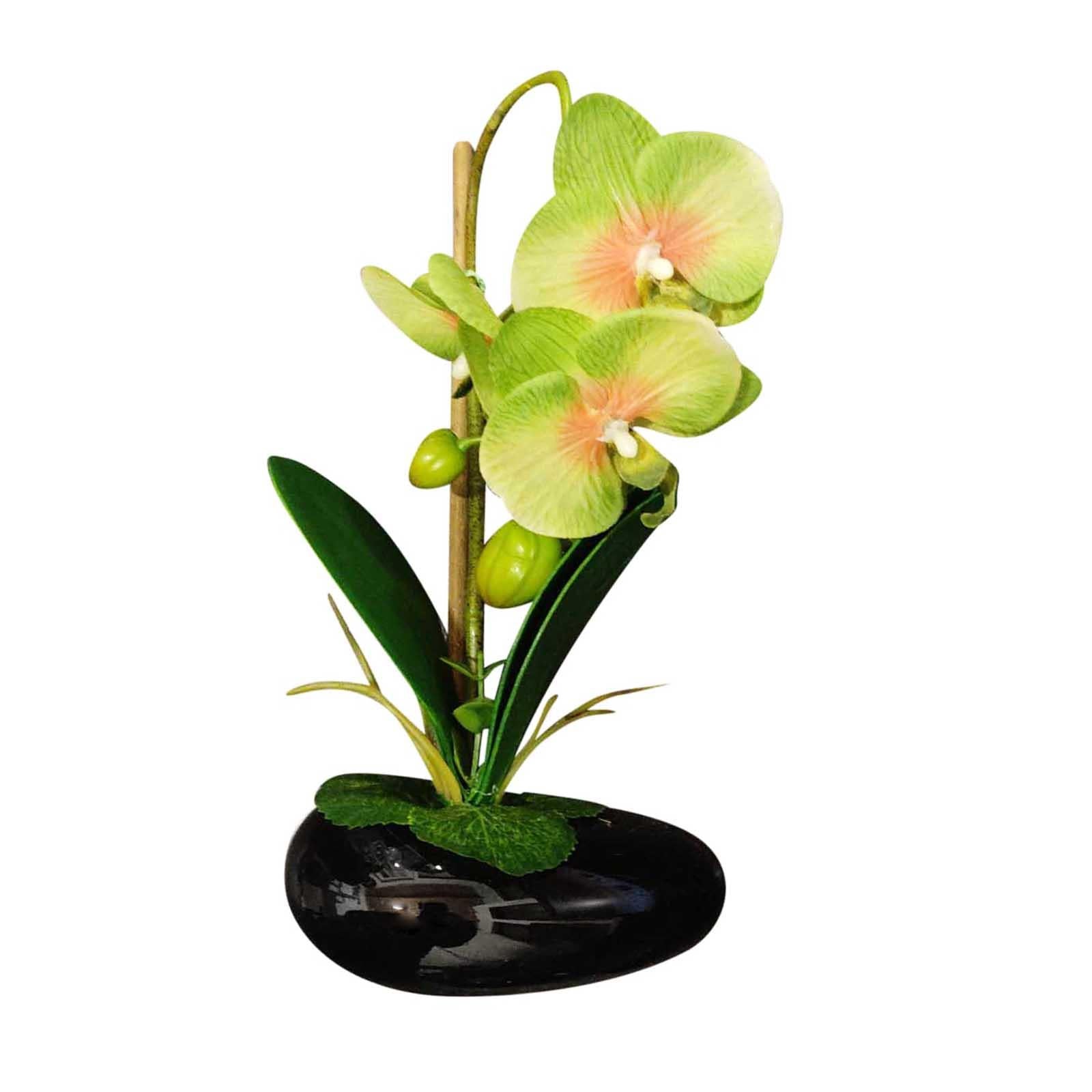 Pre-Potted Real Touch Orchid Plants