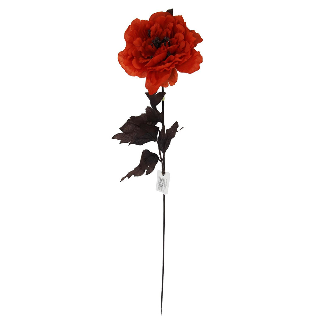 Single Large Open Peony