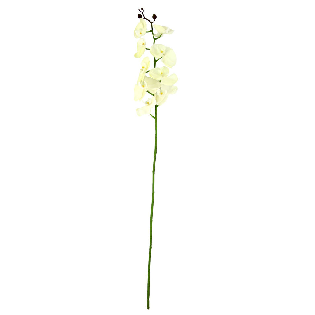 Real Touch Phalaenopsis Orchid