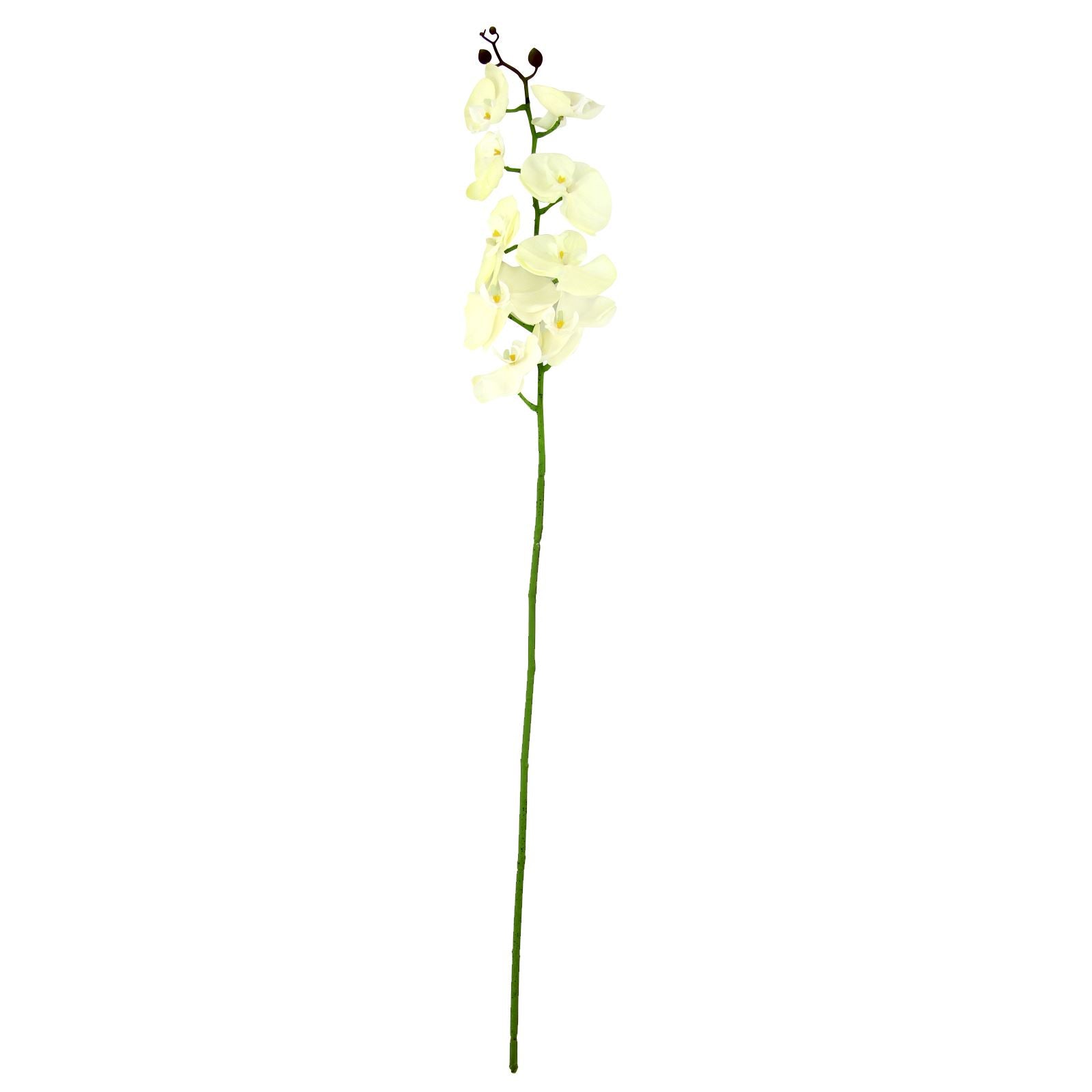 Real Touch Phalaenopsis Orchid