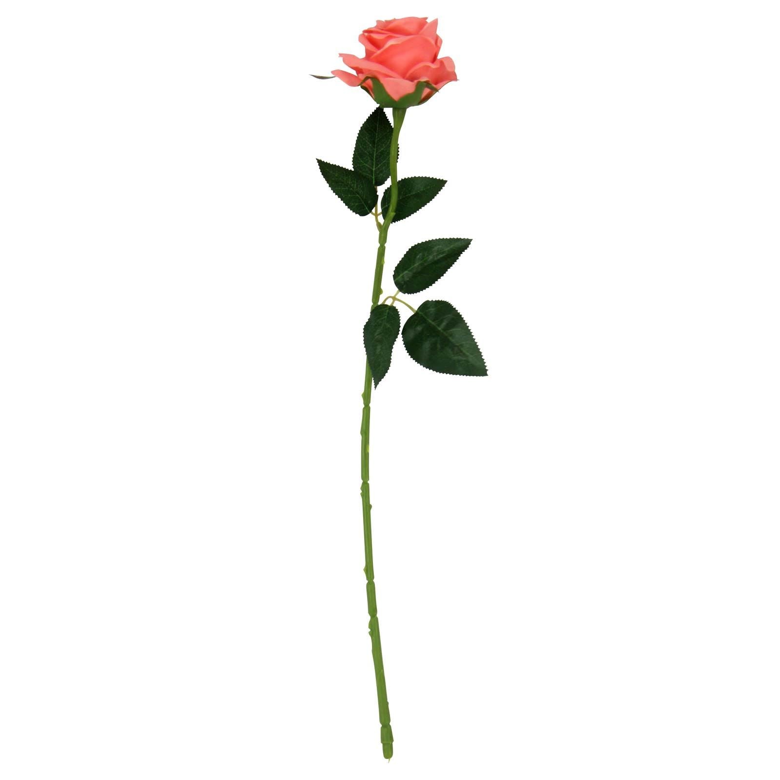 Soft Touch Premium Roses