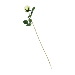 Single Eco Rose Stem