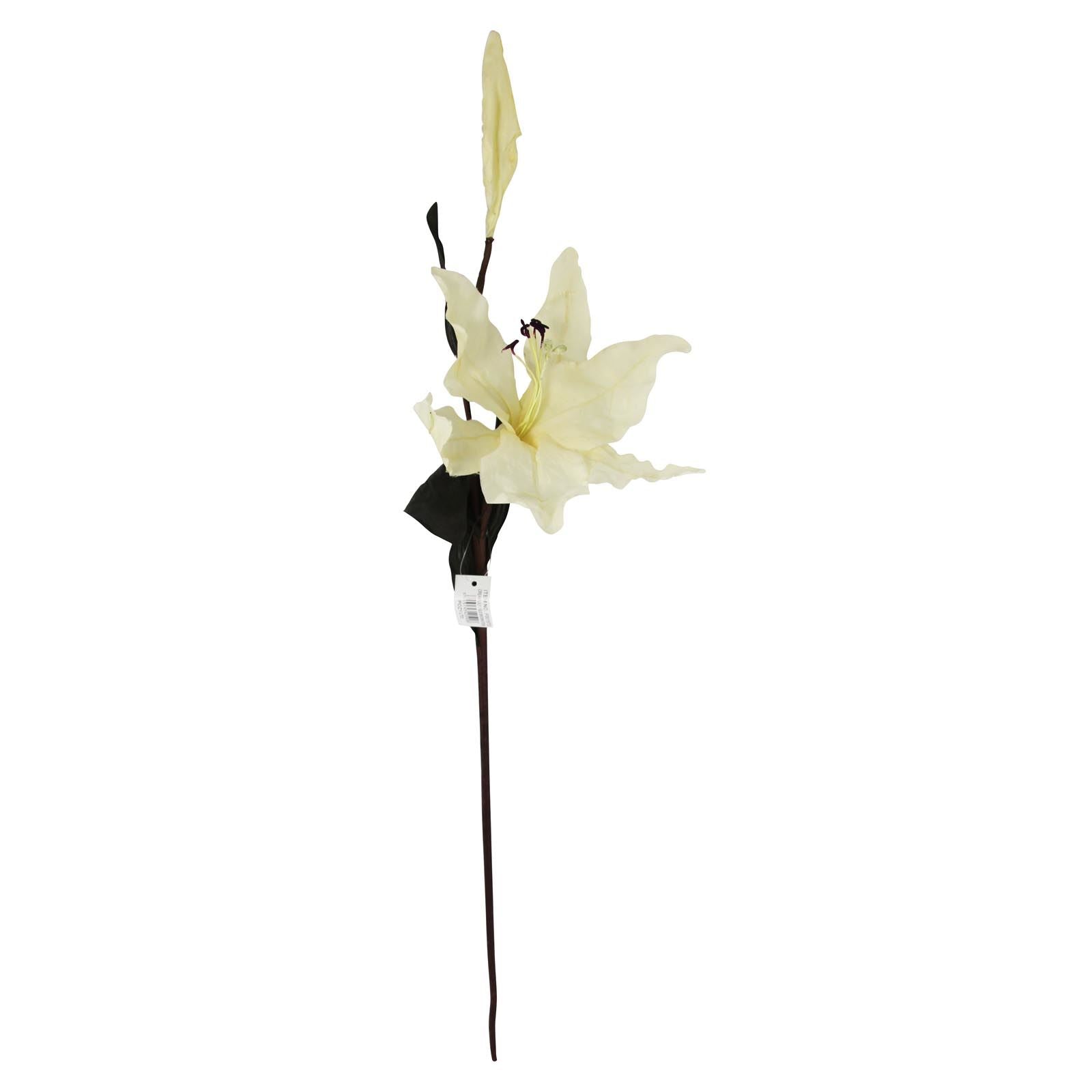 Box of 12 Magnolia Stargazer Lily with Bud