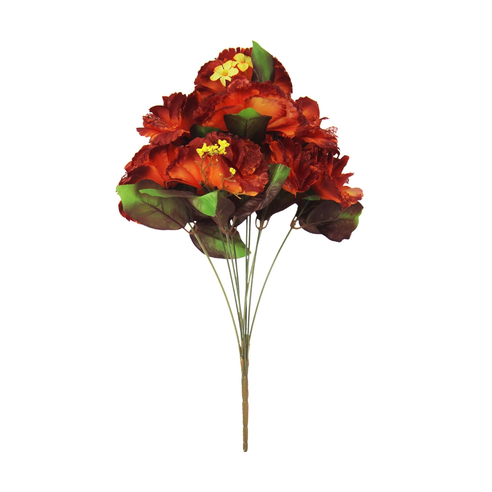 Clearance Blood Orange Burlesque Flowers