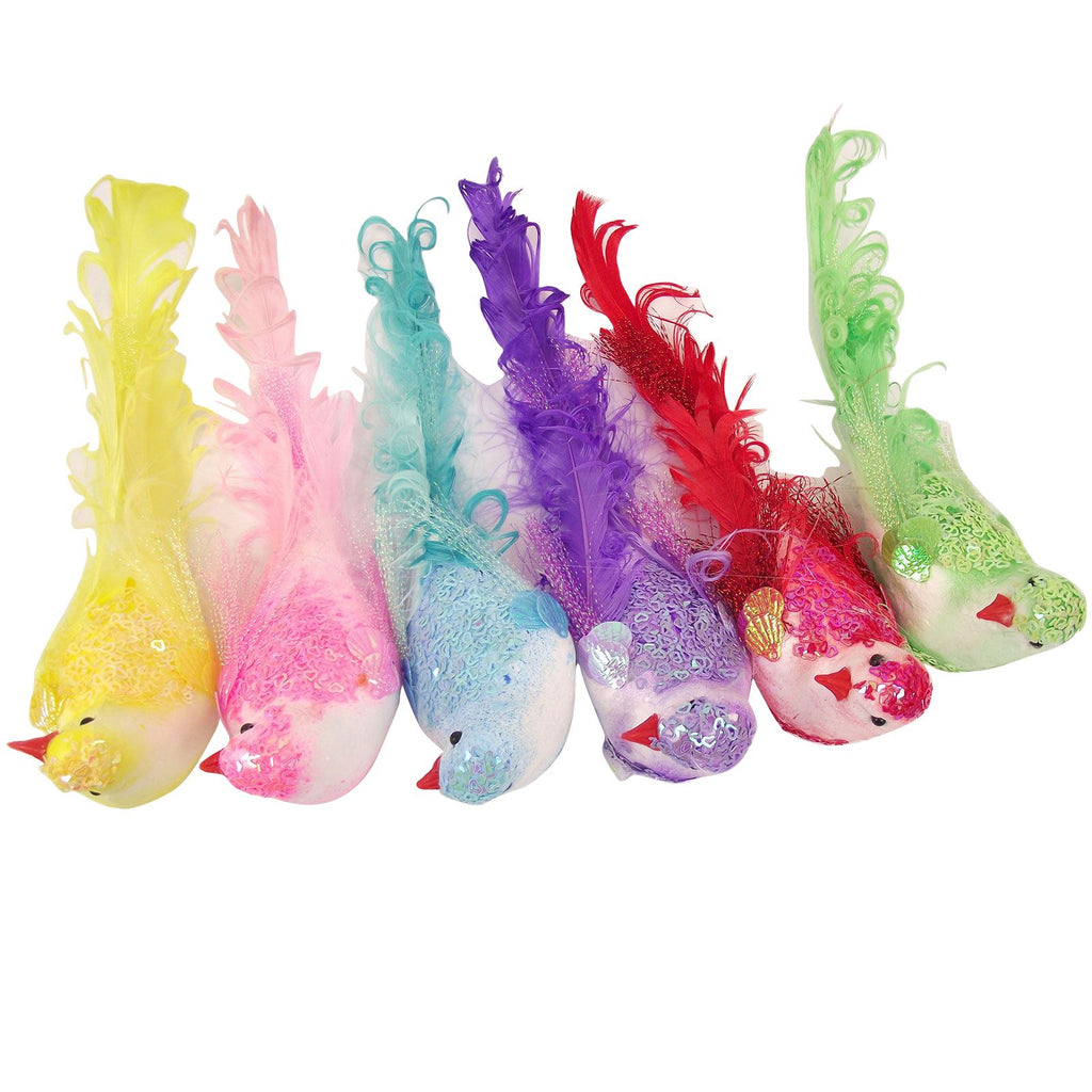 6x Large Feather Tailed Tropical Birds