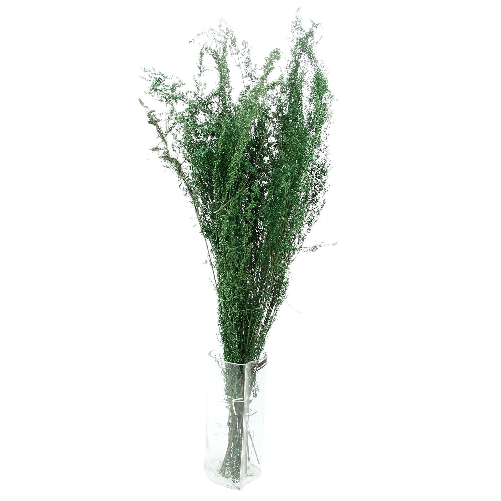 Large Bundle of Dried Natural Greenery Sweet Annie