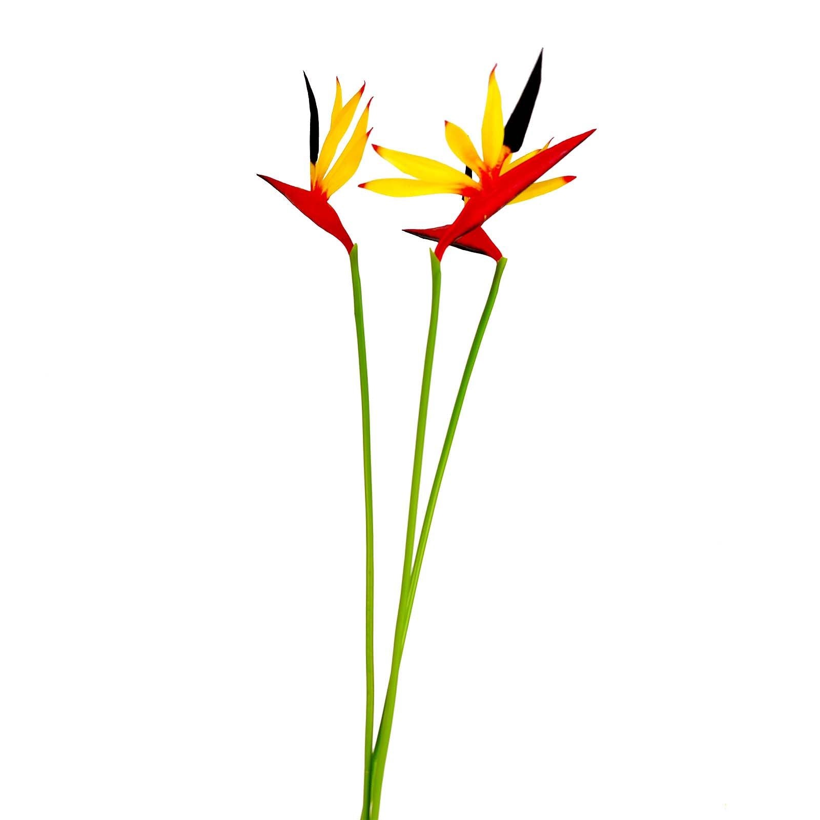 Eco Bird of Paradise Stem