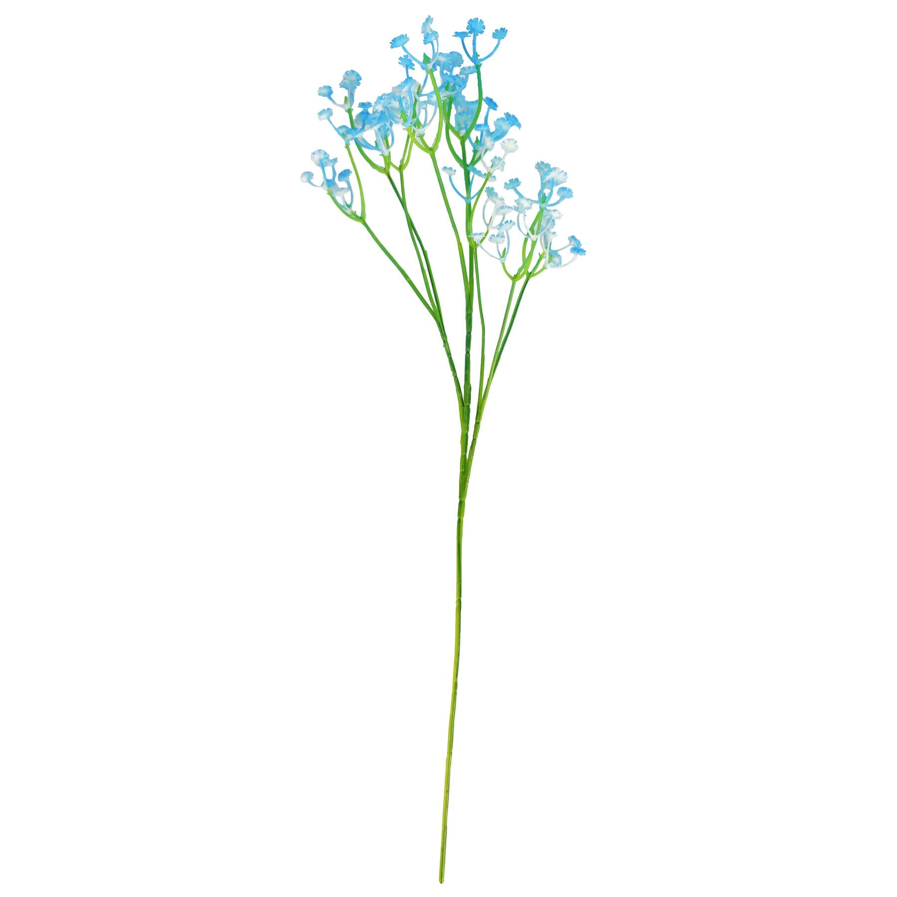 Coloured Gypsophila Sprays