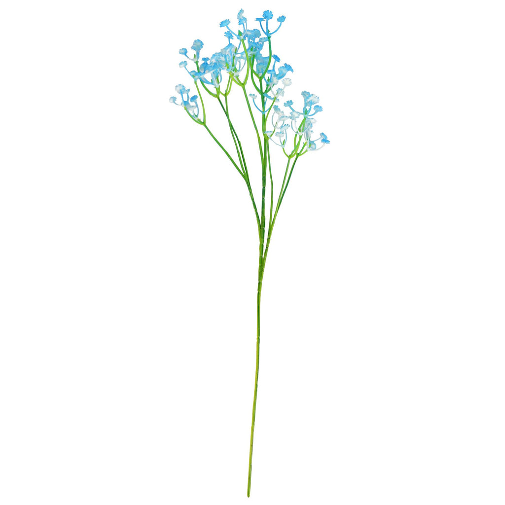 Coloured Gypsophila Sprays