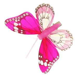 Box of 12 Premium Feather Butterfly Clips