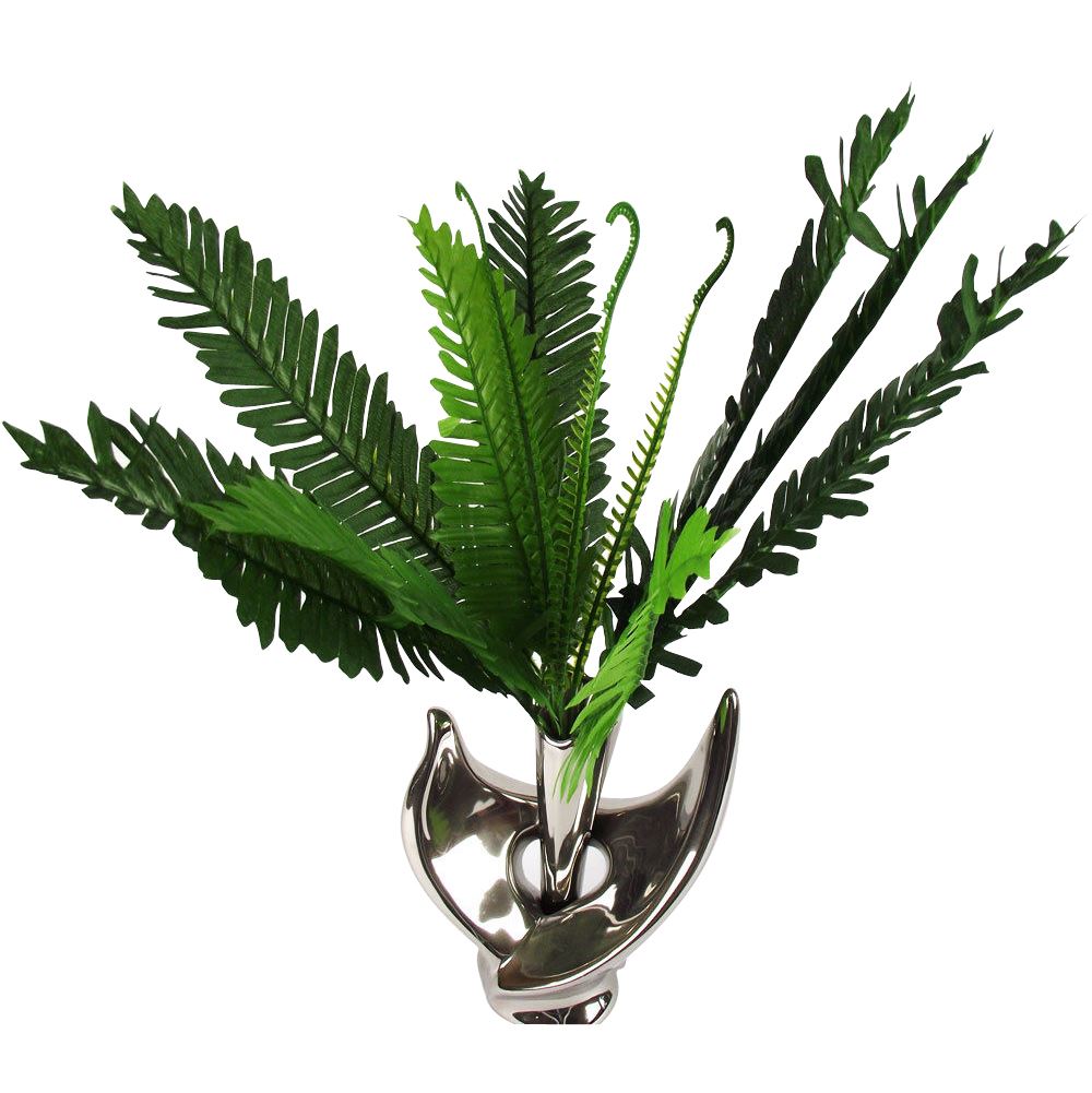 Boston Fern Bush with 12 Leaves