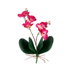 Mini Cuchi Orchid Spray