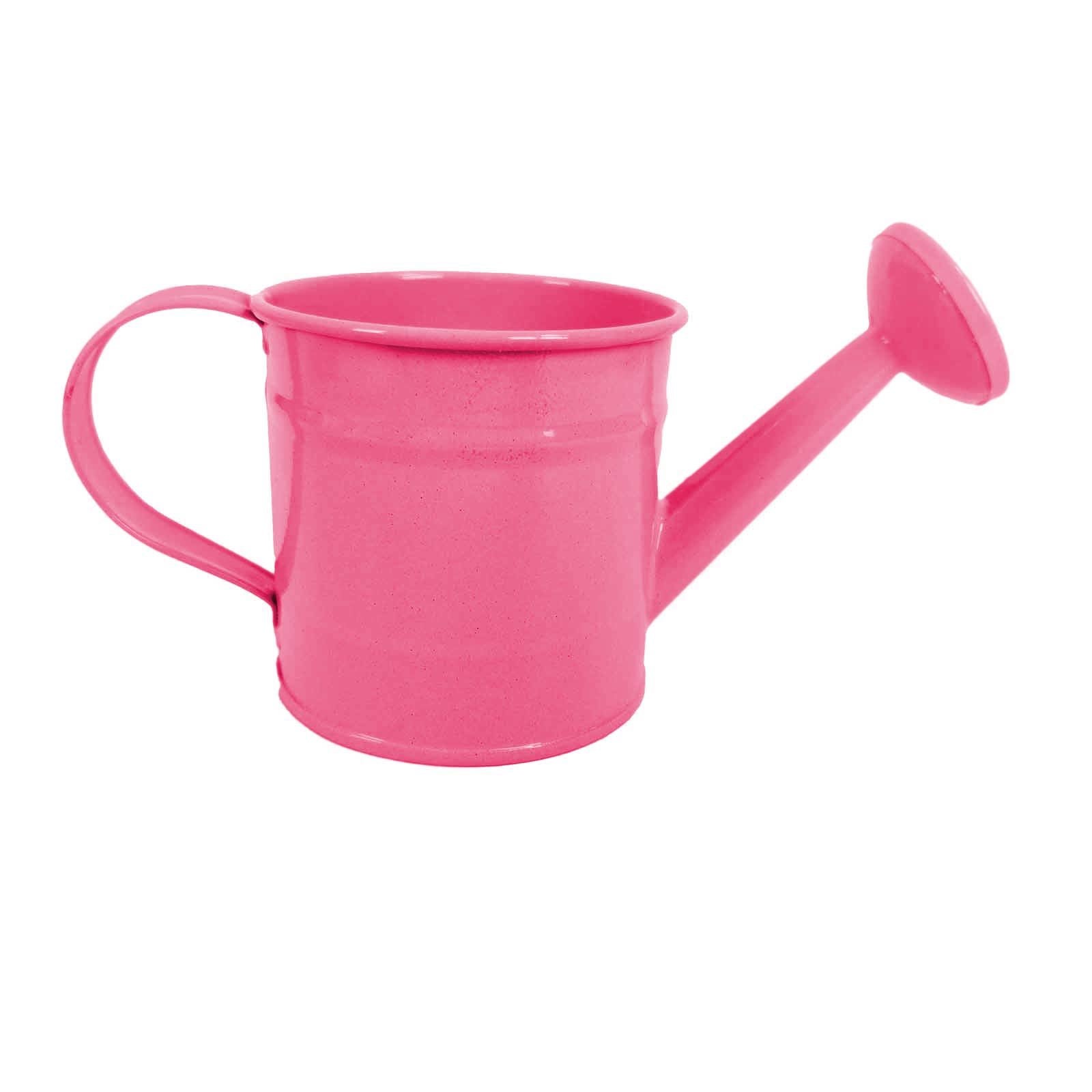 Mini Functional Watering Can