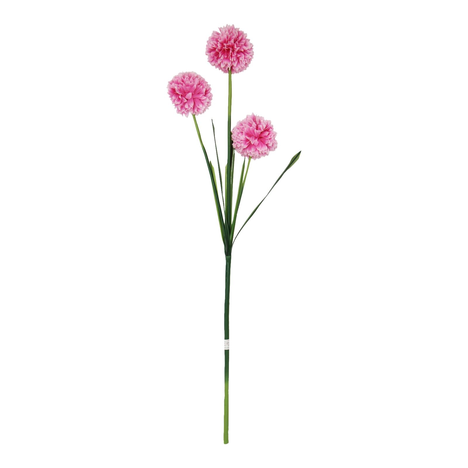 3 Headed Large Pompom Allium Spray