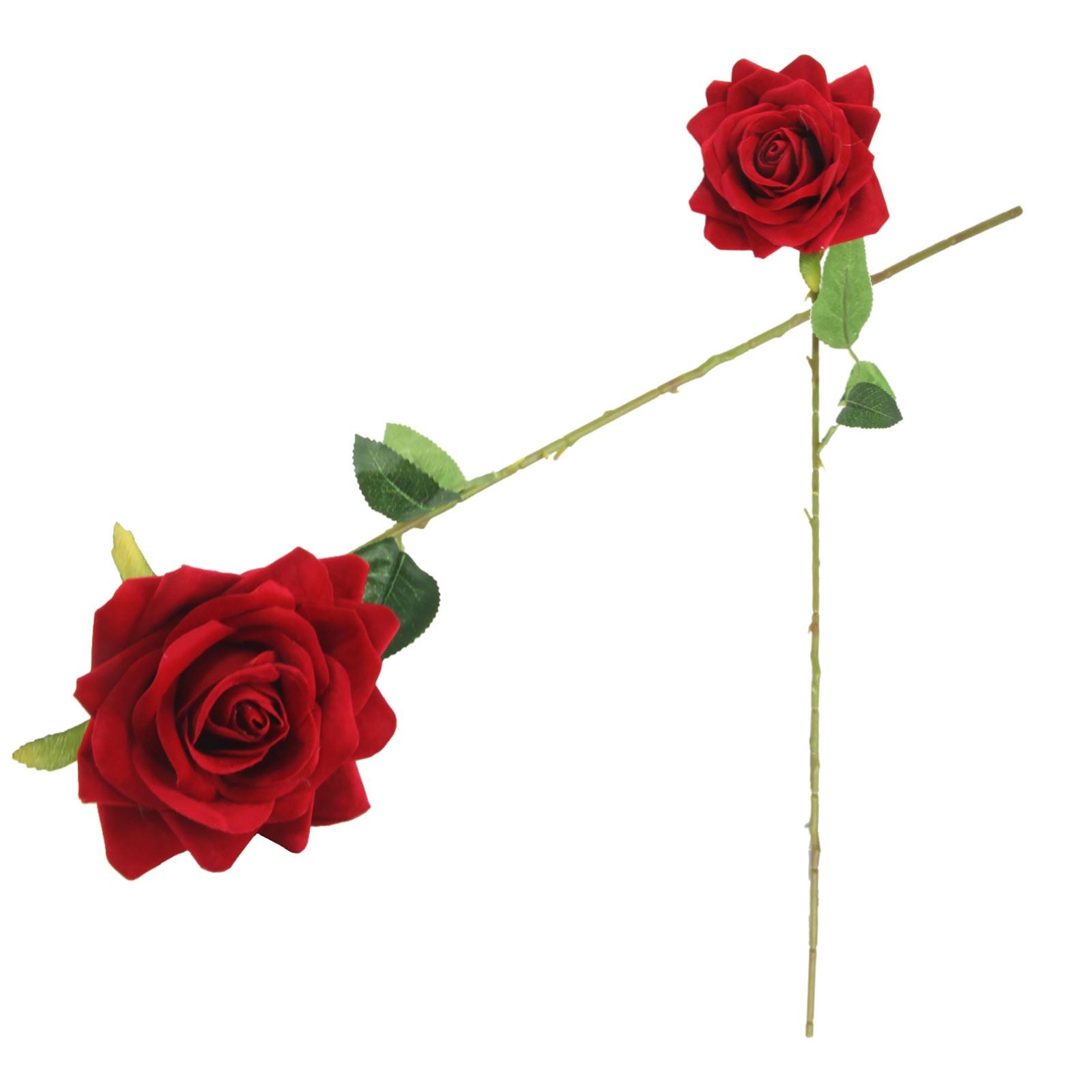 Premium Open Velvet Rose