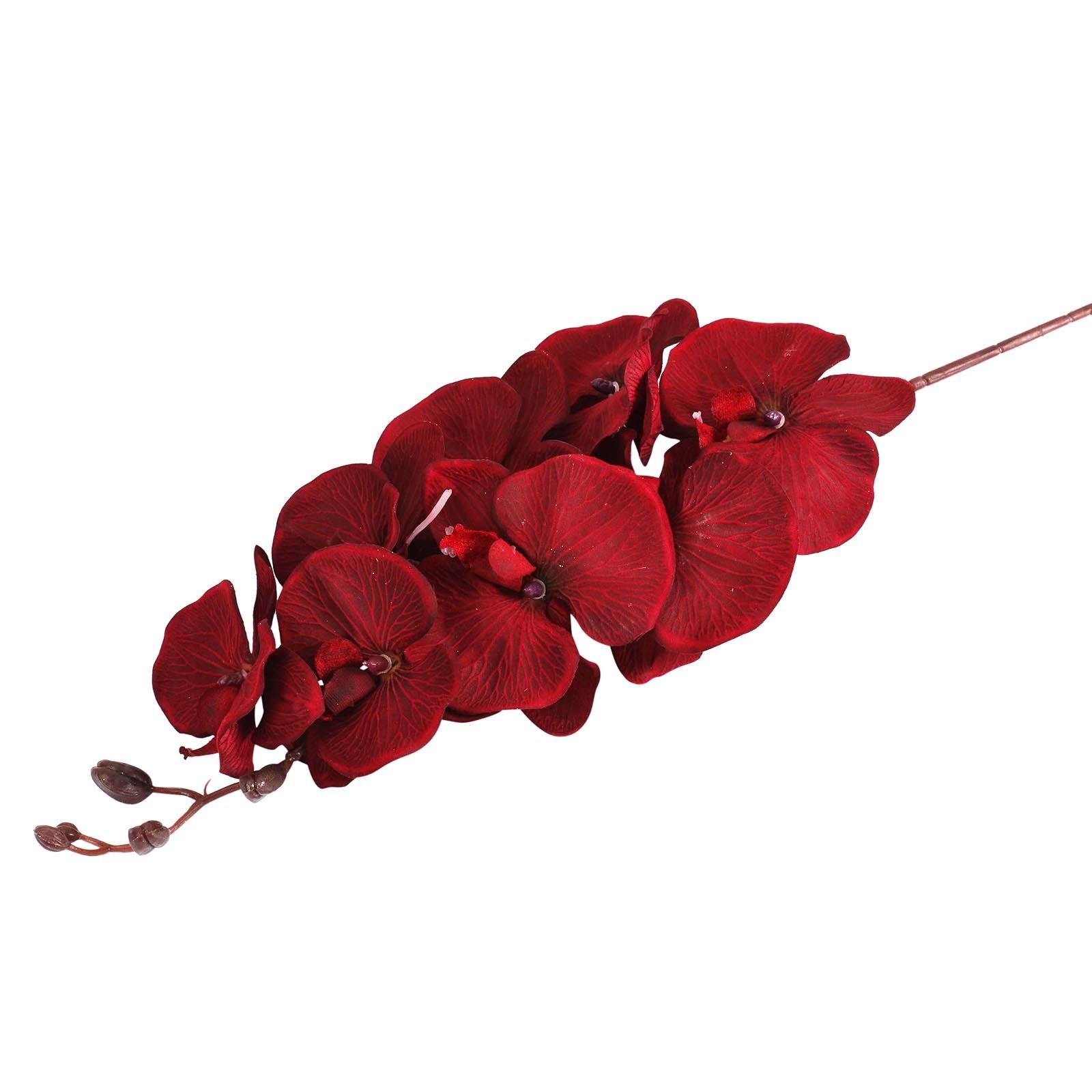 Premium Modern Large Orchid