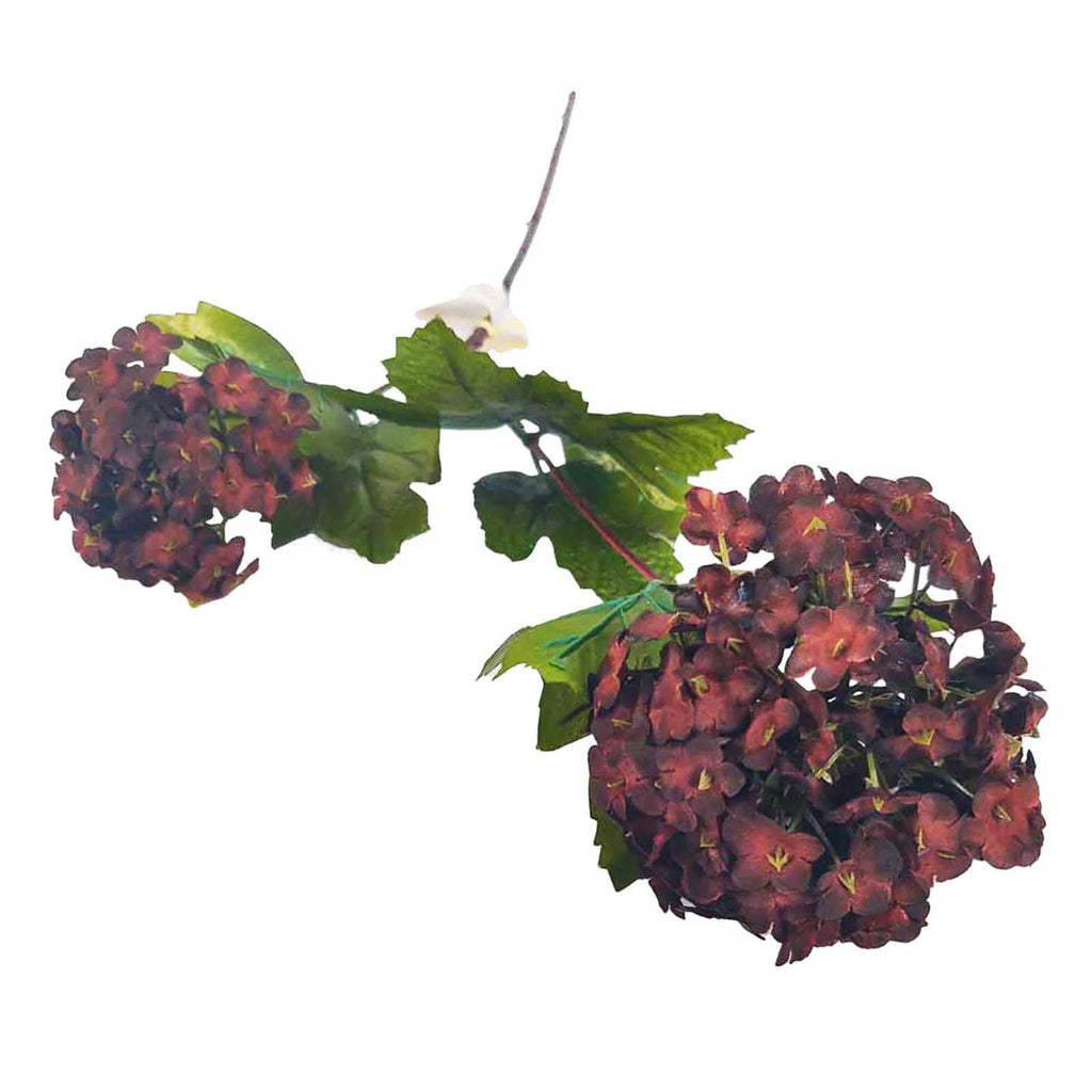 Snowball Hydrangea Flower