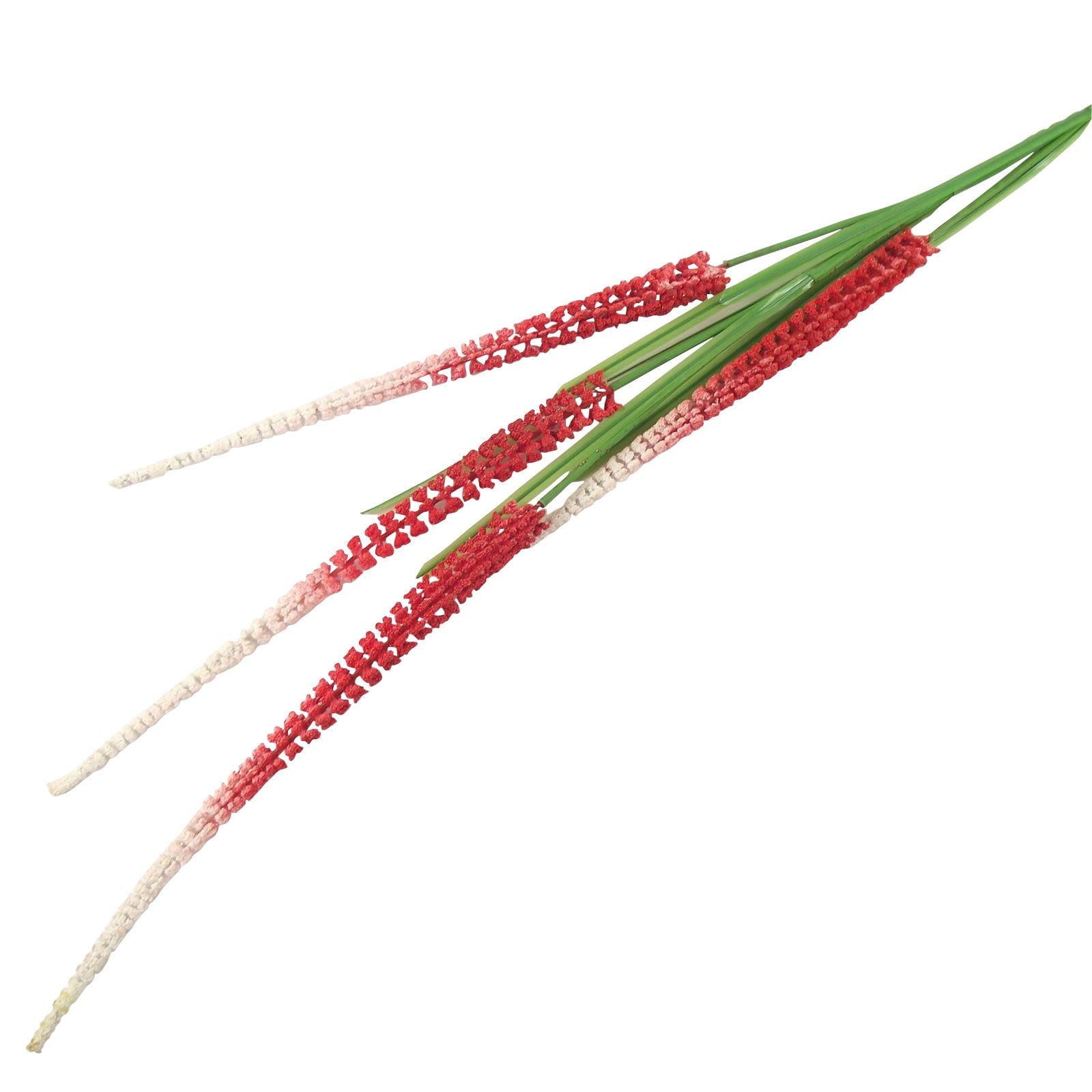 Long Marsh Shoots Flowers