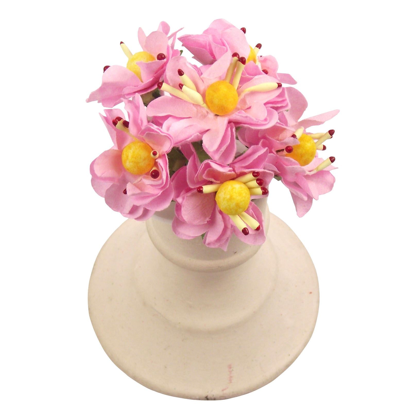 2x Bunches of 6 Paper Anemone