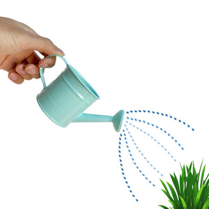 Mini Functional Watering Can