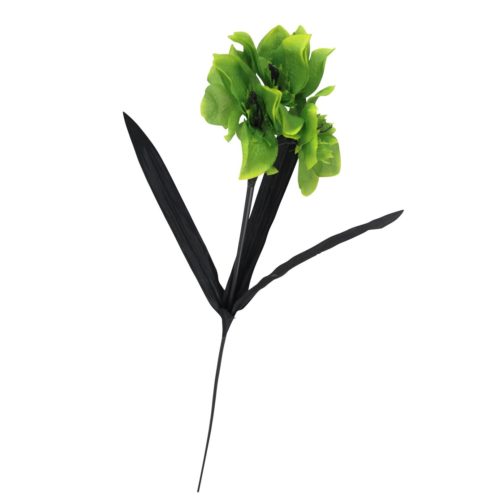 Tazetta Daffodil Stems