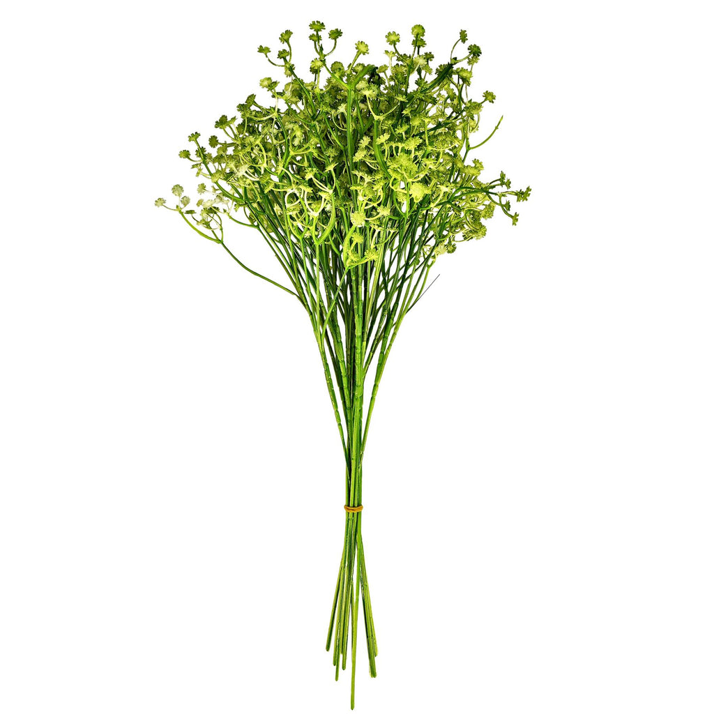 Coloured Gypsophila Sprays