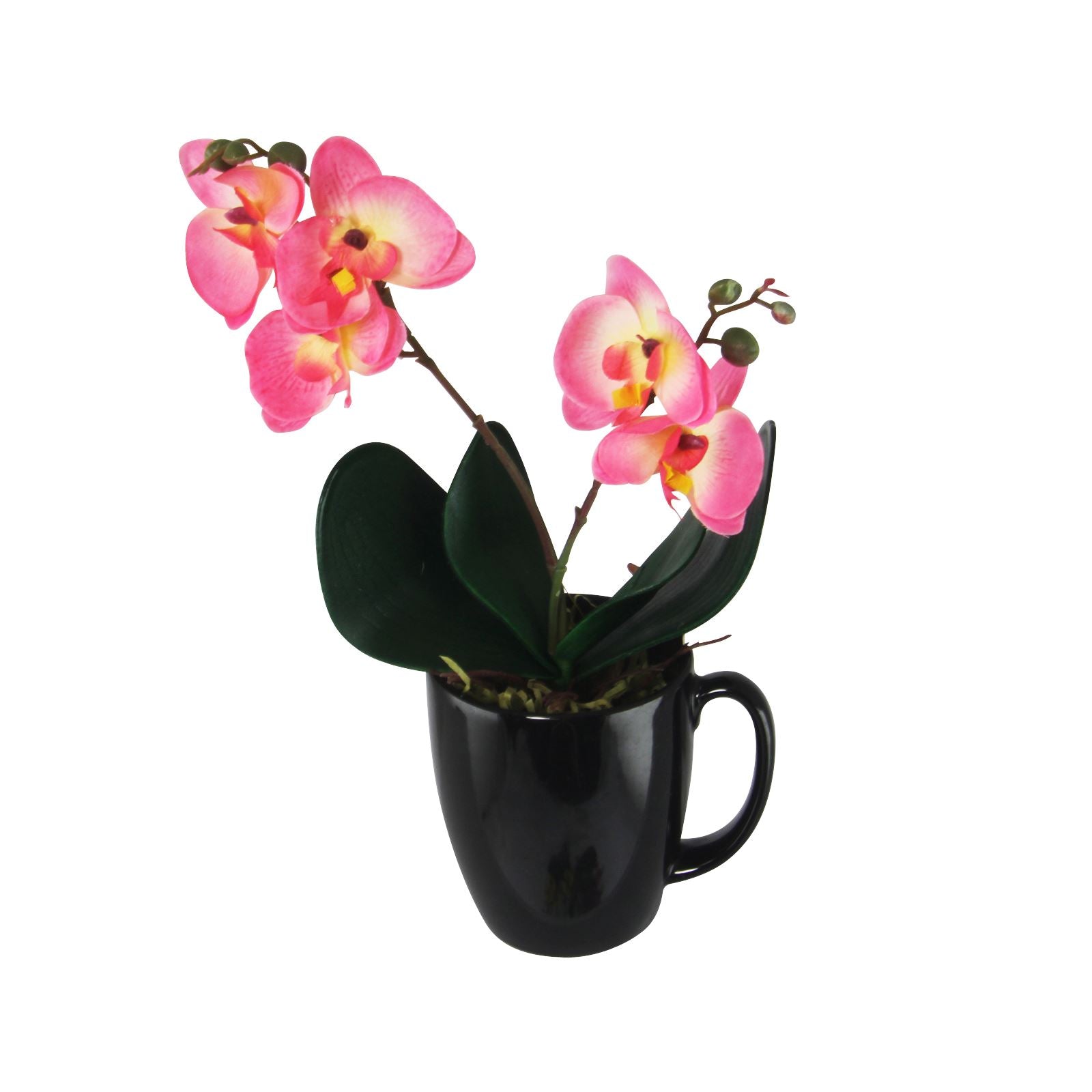 Mini Cuchi Orchid Spray