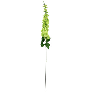 Single Delphinium Spray Stem