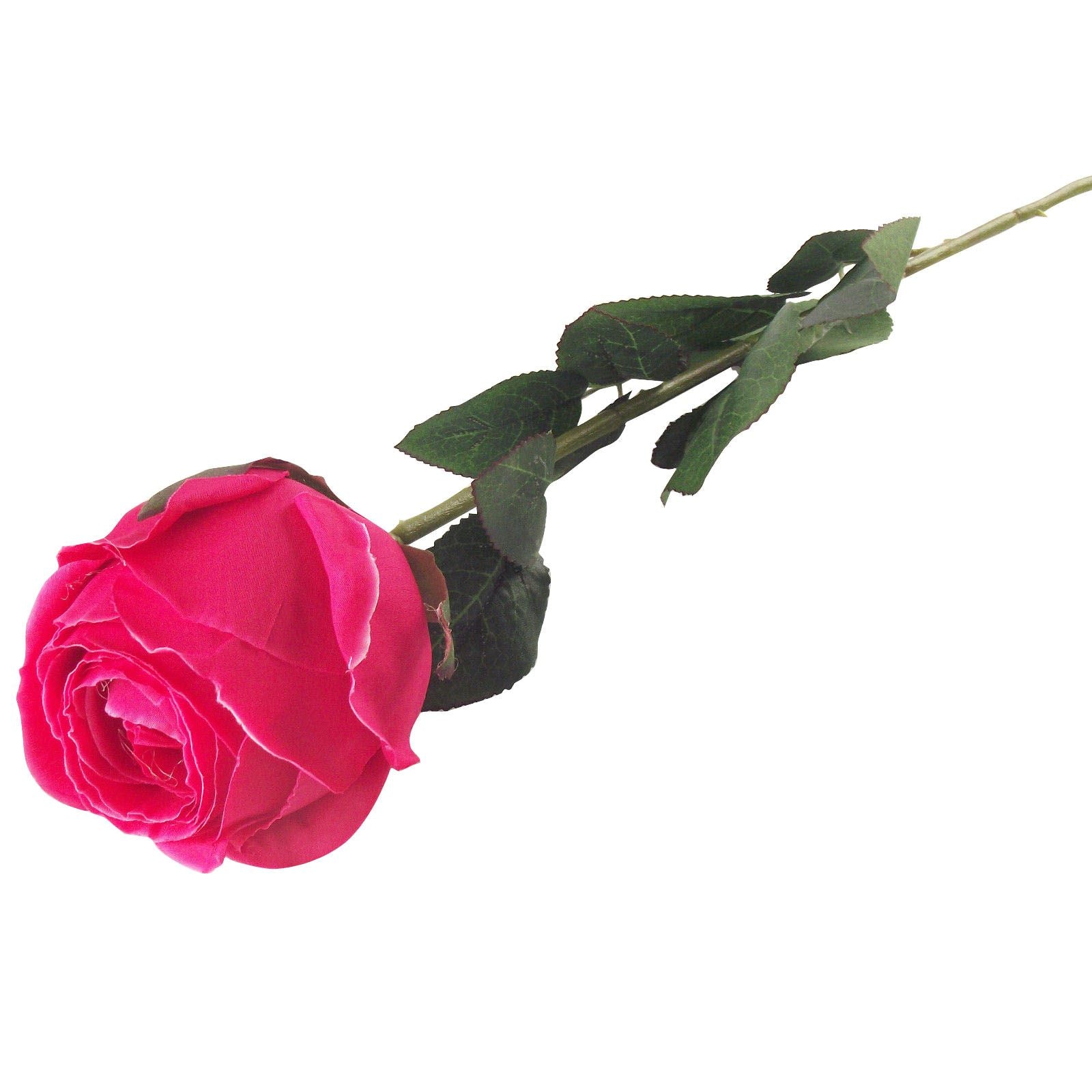 Single XL Closed Rose Bud