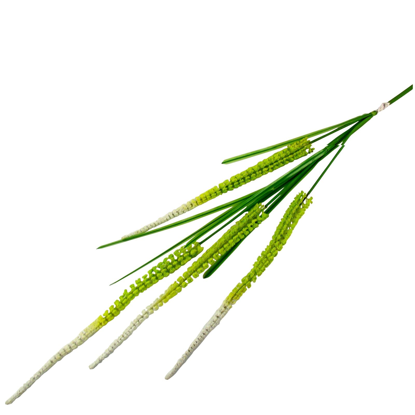 Long Marsh Shoots Flowers