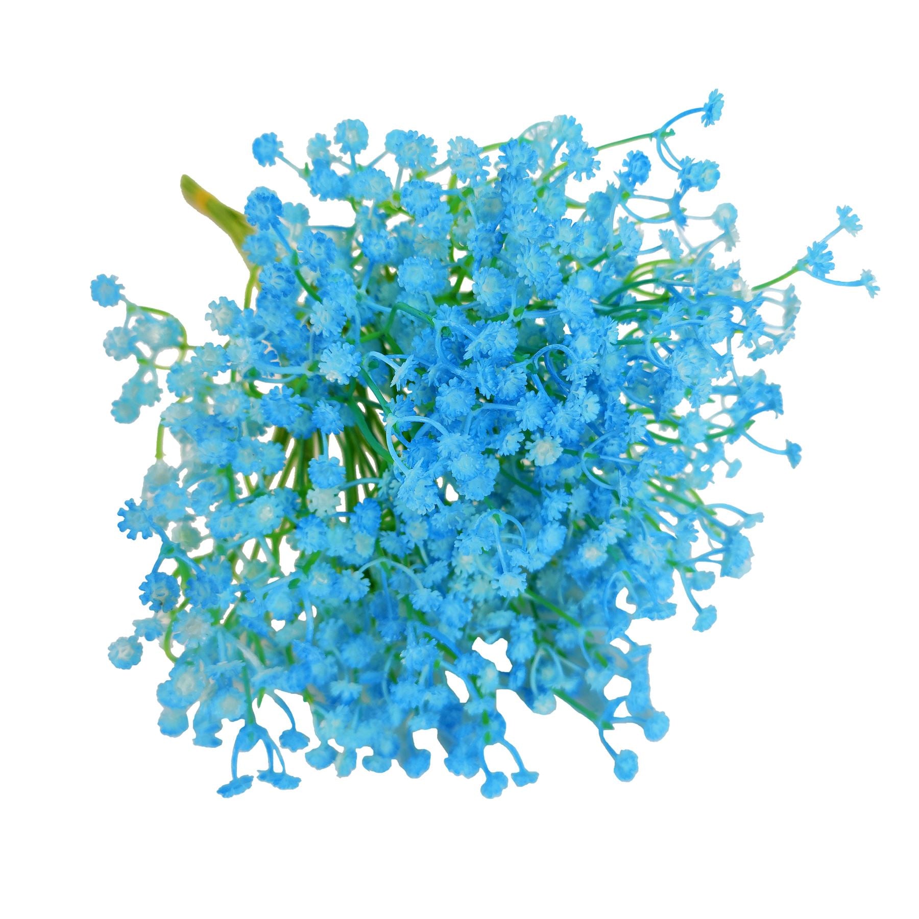 Coloured Gypsophila Sprays