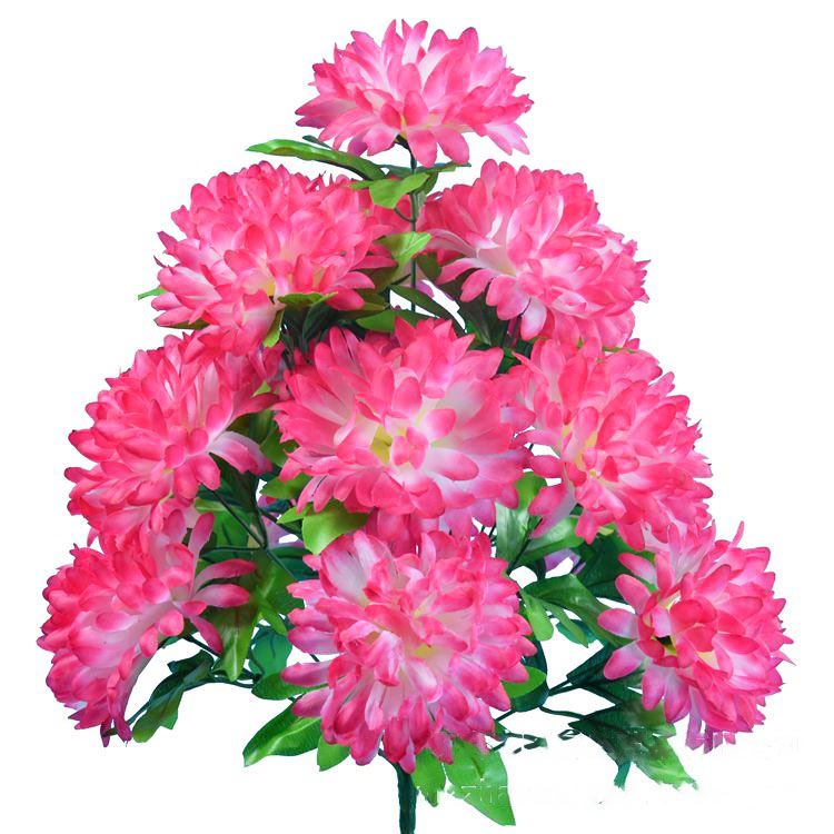 XL 18 Head Spiky Mum Bouquet