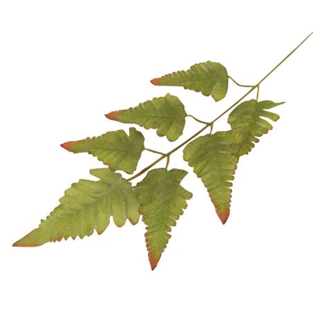 Basic Artificial Leaf Spray