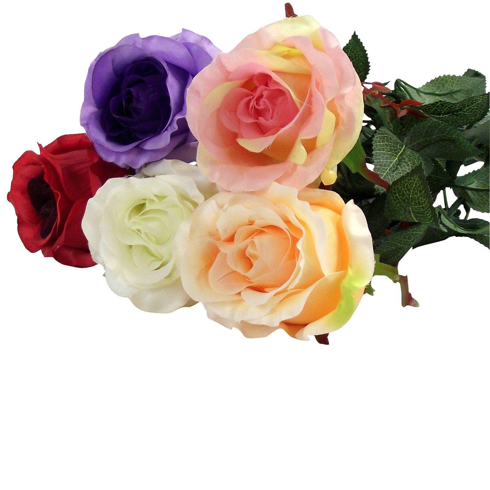 Single Semi Bella Rose