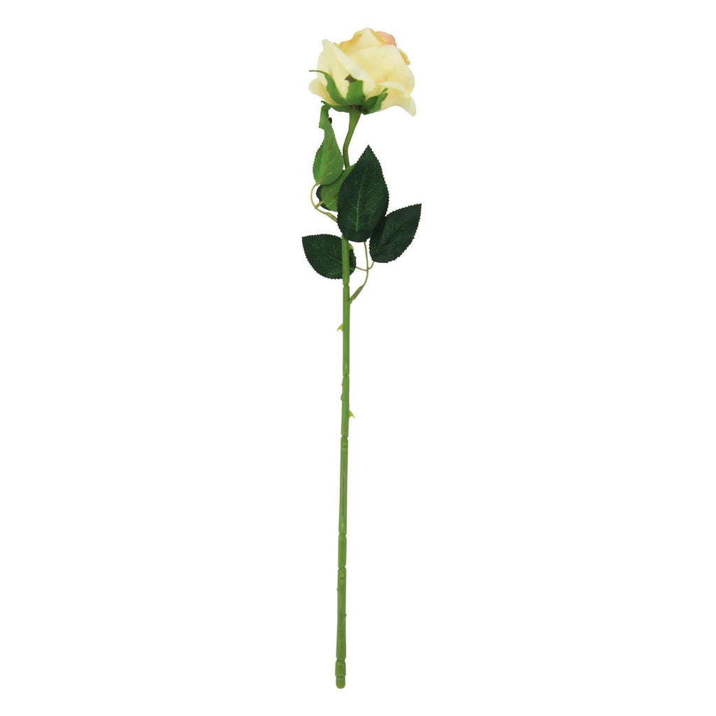 Soft Touch Premium Roses
