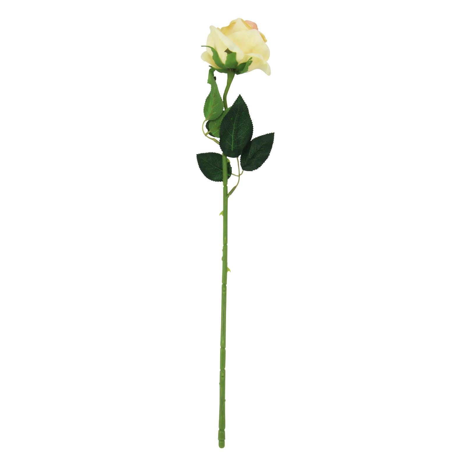 Soft Touch Premium Roses