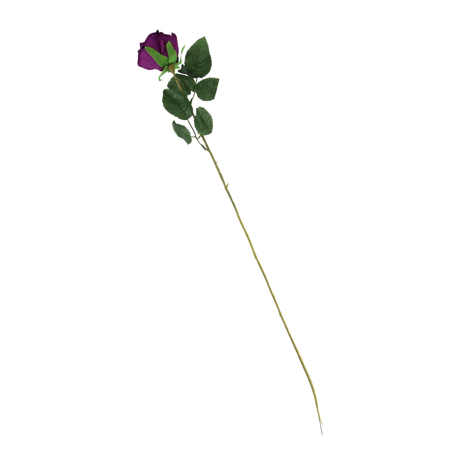 Single Eco Rose Stem