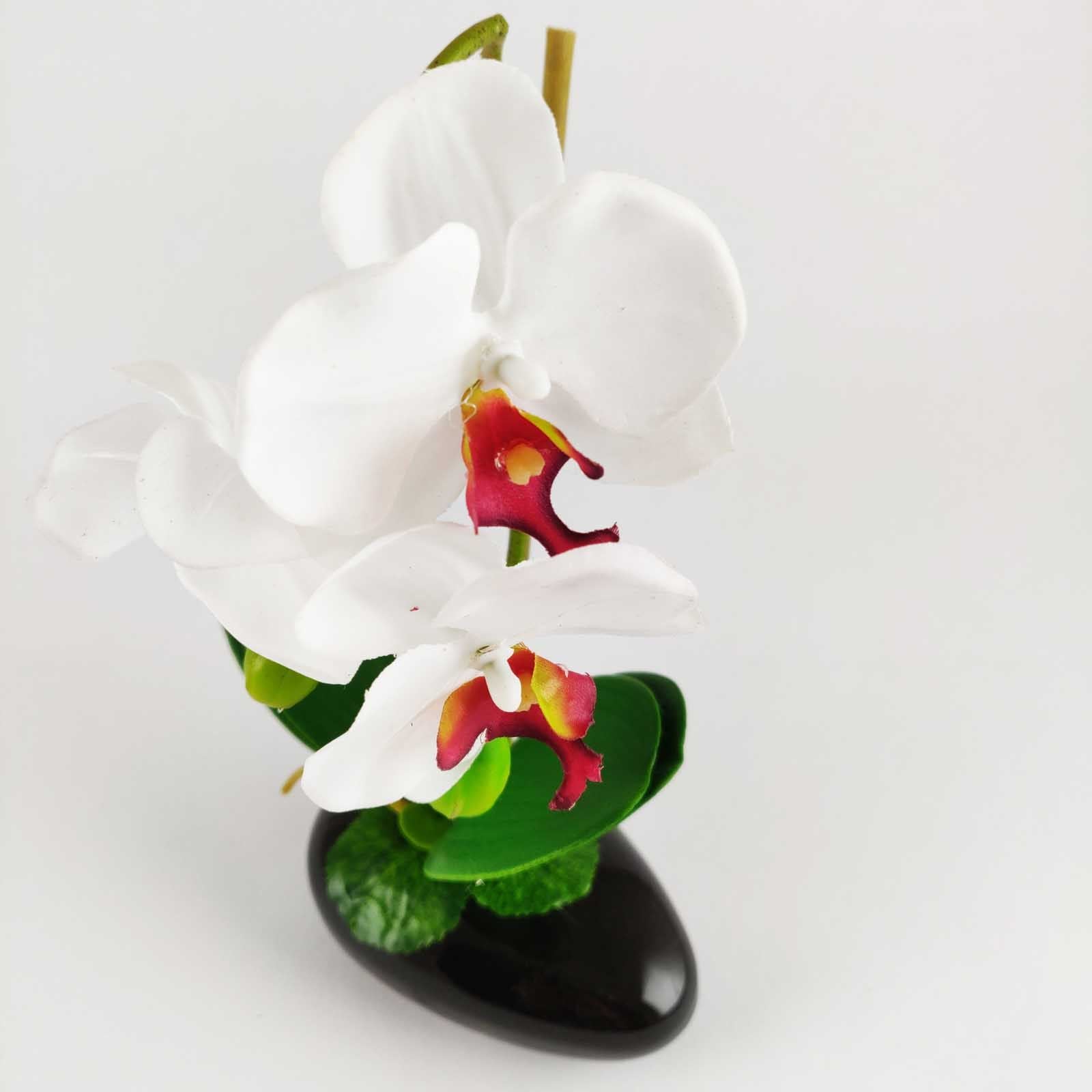 Pre-Potted Real Touch Orchid Plants