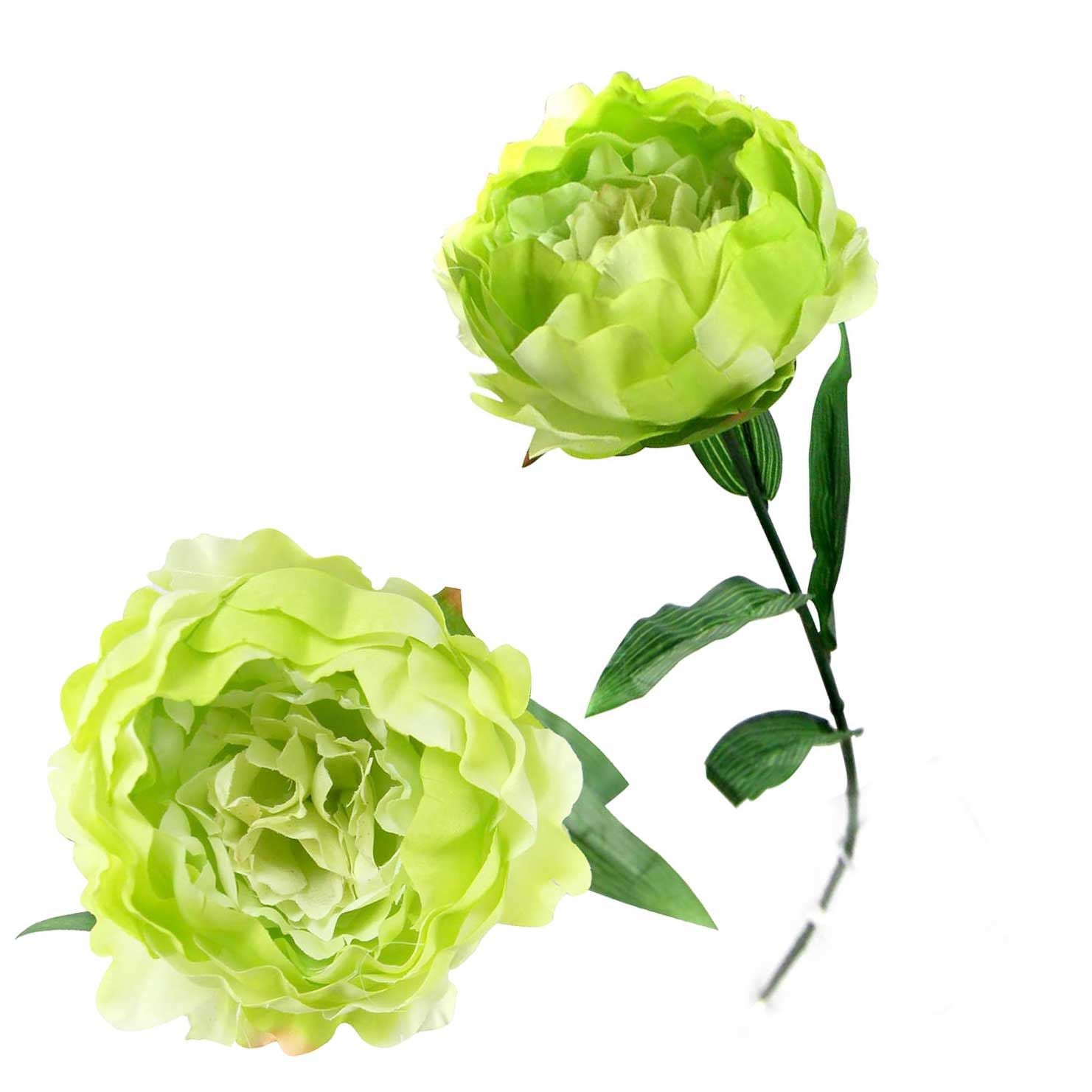 Single Large Peony