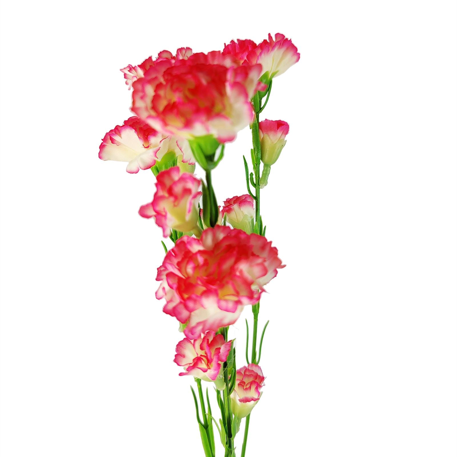 Carnation Spray