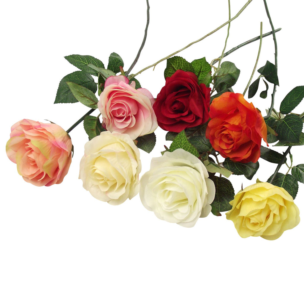 Premium Single Open Rose