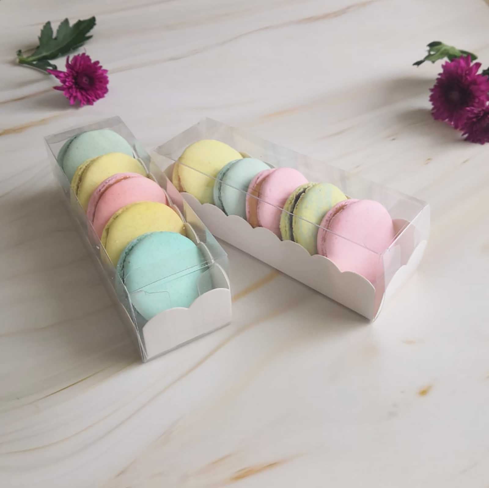 Long Clear PVC Macaron Boxes with Inserts