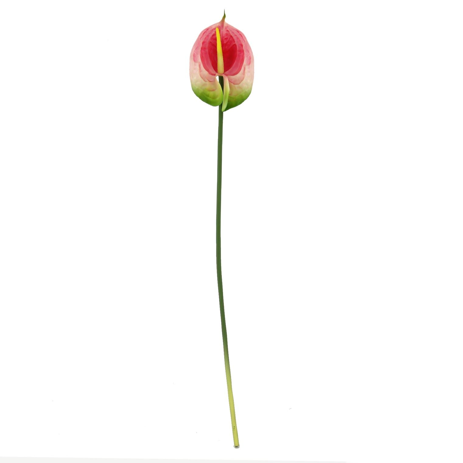 Real Touch Single Anthurium
