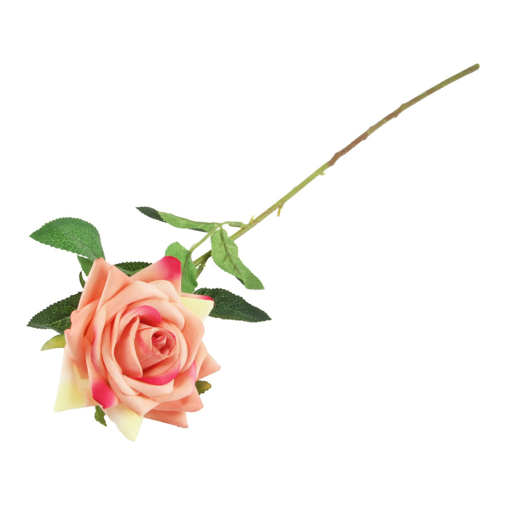 Premium Open Velvet Rose