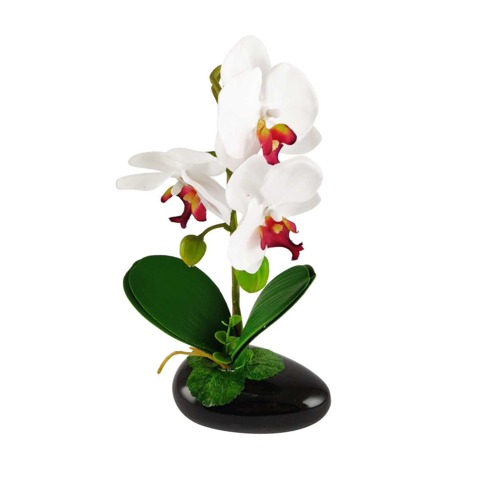Pre-Potted Real Touch Orchid Plants