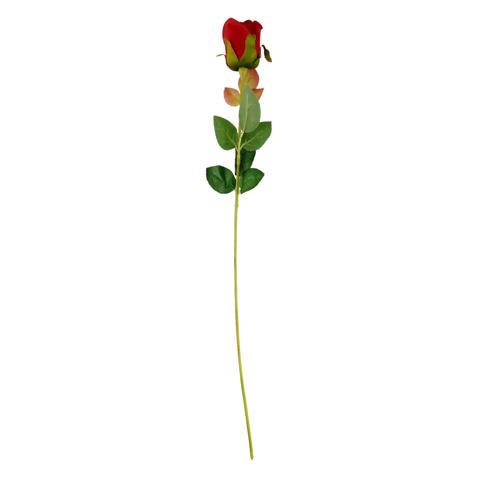 Premium Velvet Rose Buds