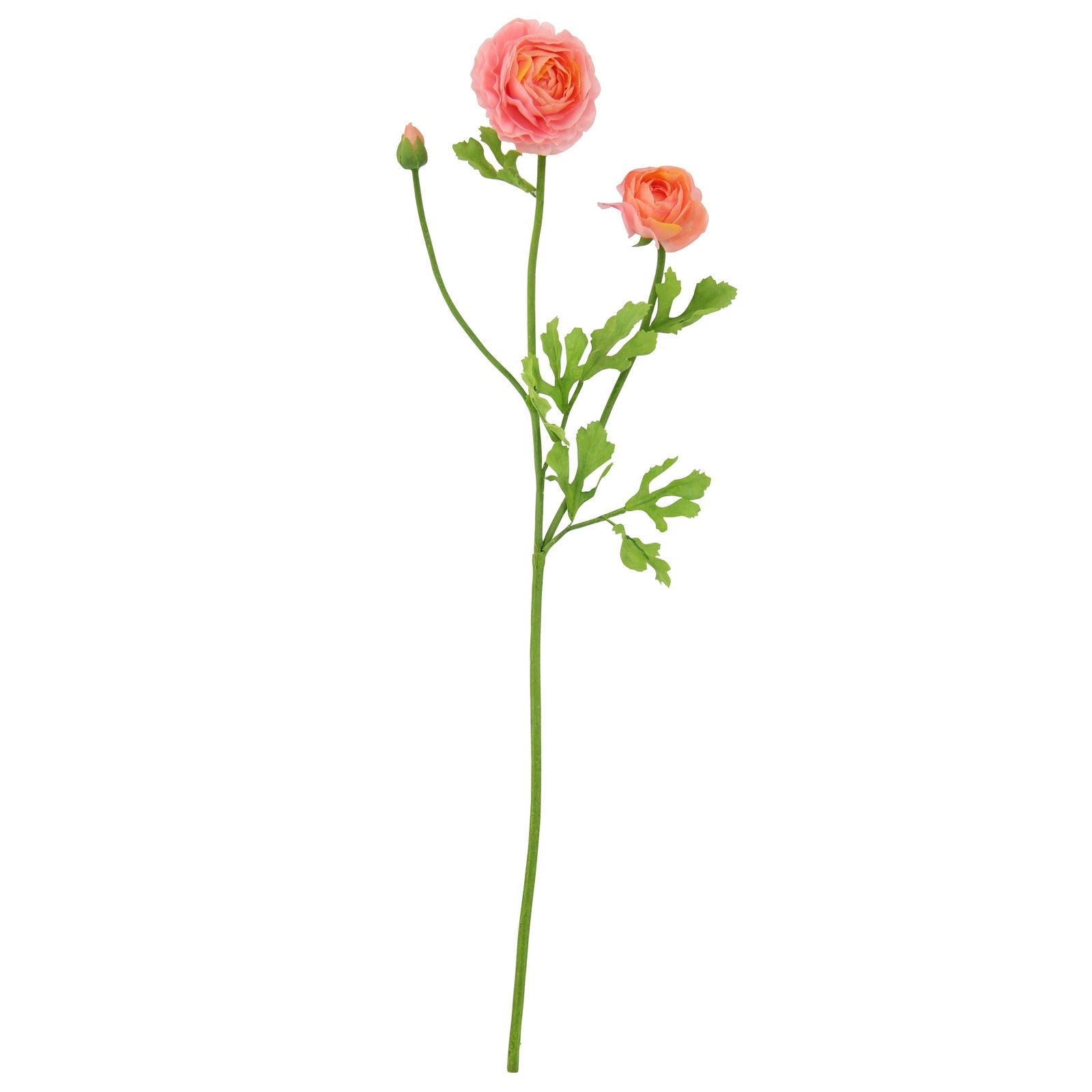 3 Head Soft Touch Ranunculus Spray