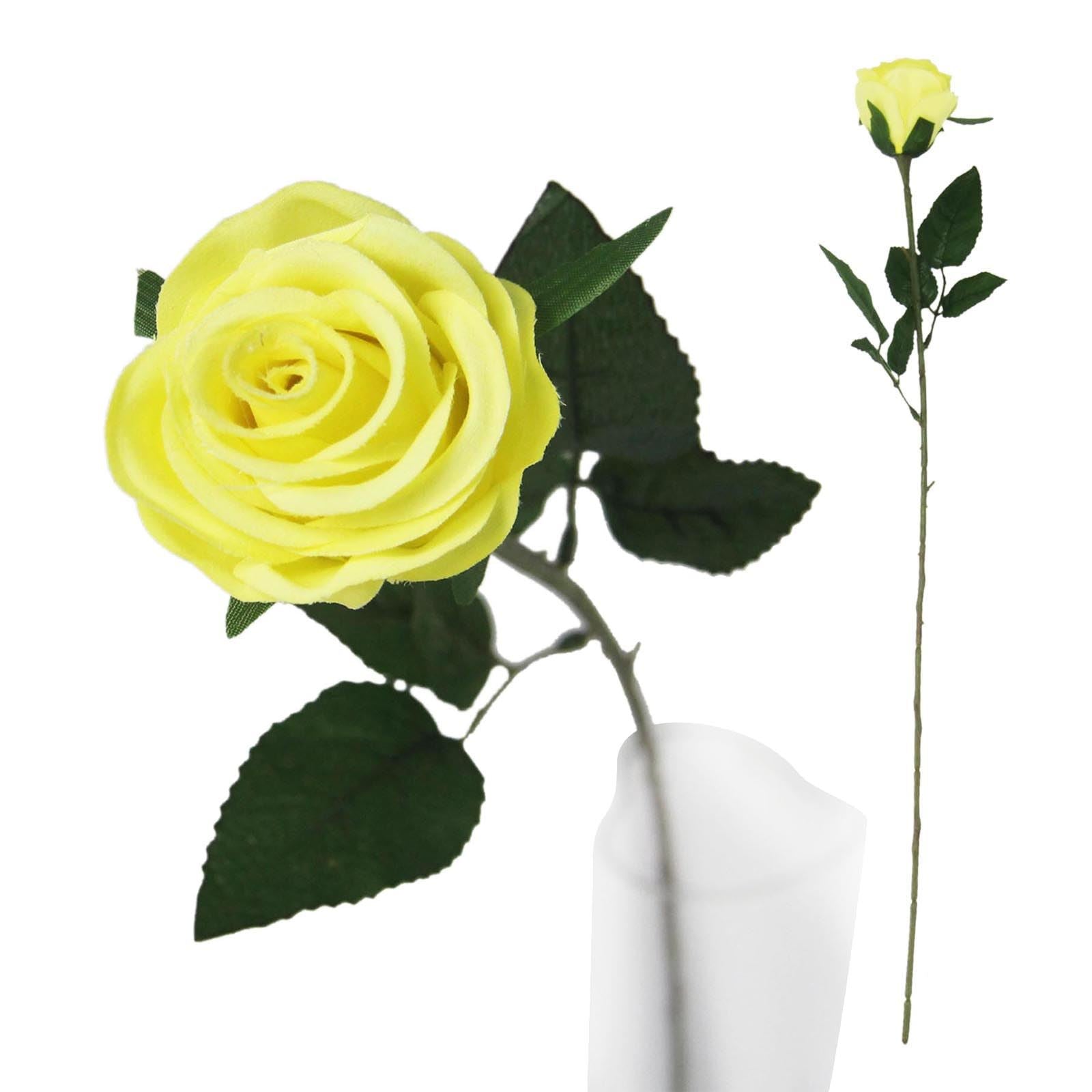Single Premium Rose Bud