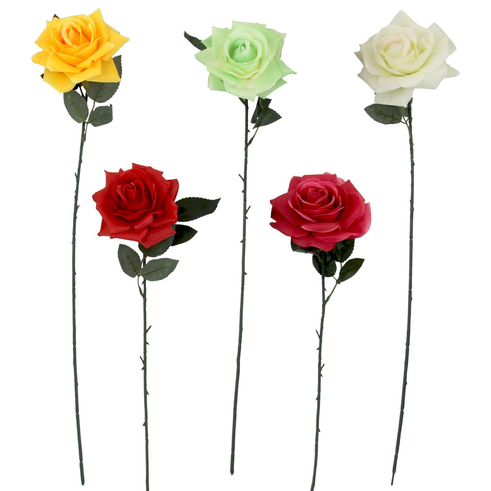 Large Plastic Premium Open Rose